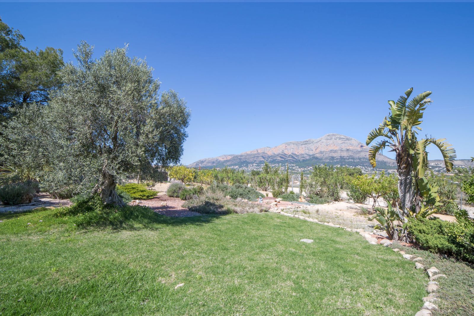Finca de campo con vistas panorámicas en venta en Jávea.