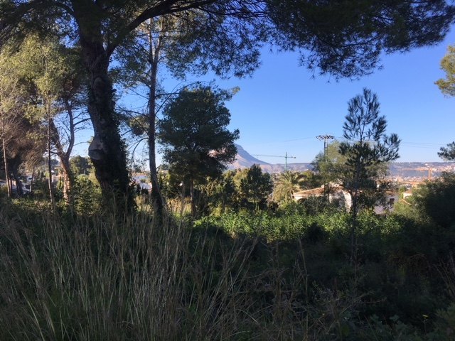 Exzellendes Grundstück zu verkaufen in Cap Marti - Javea
