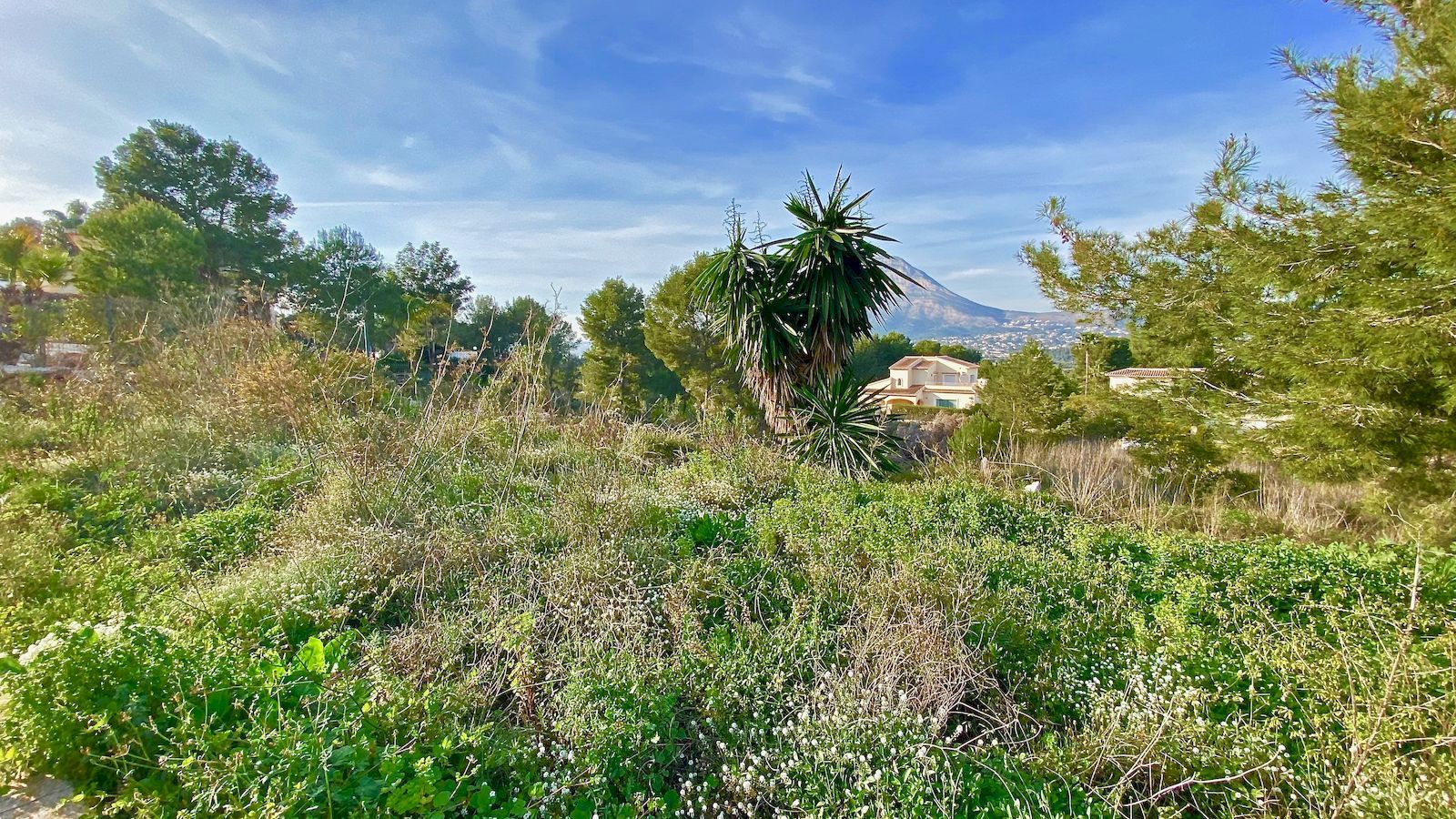 Grundstück zum Verkauf mit Meerblick in Piver Urbanisation - Javea - Costa Blanca