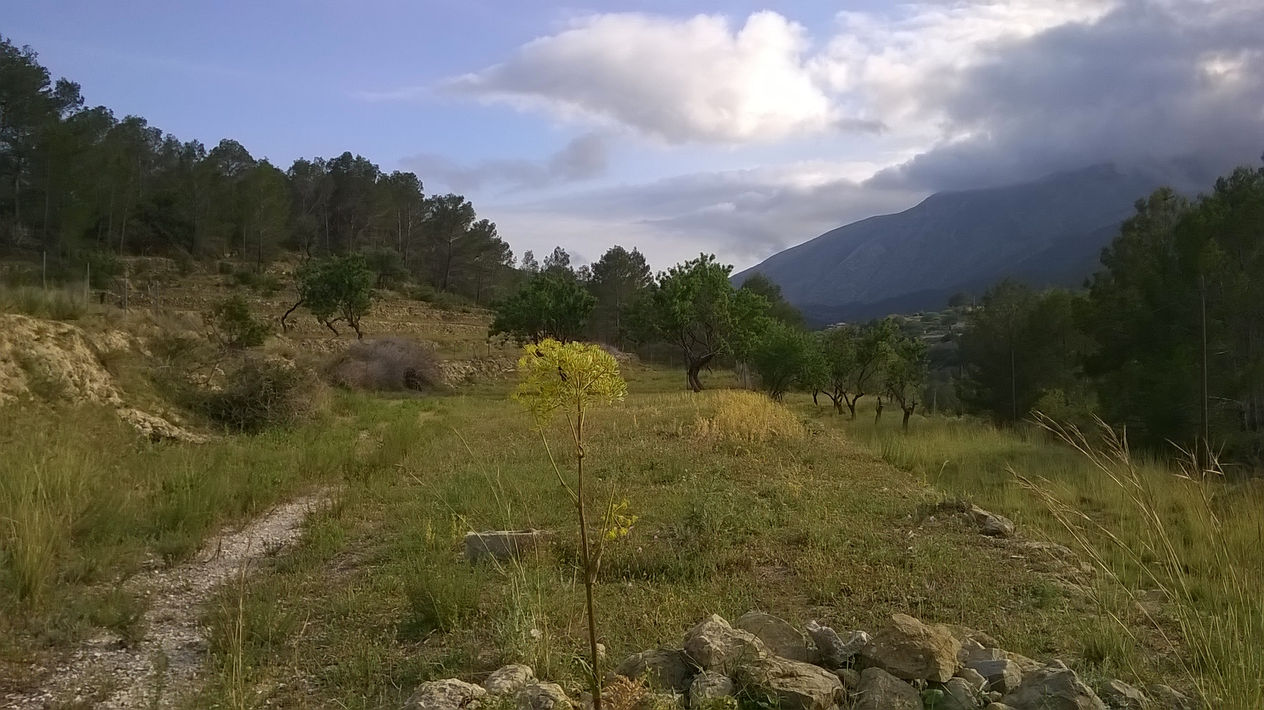 Rustikales Grundstück zum Verkauf in Benissa - Costa Blanca